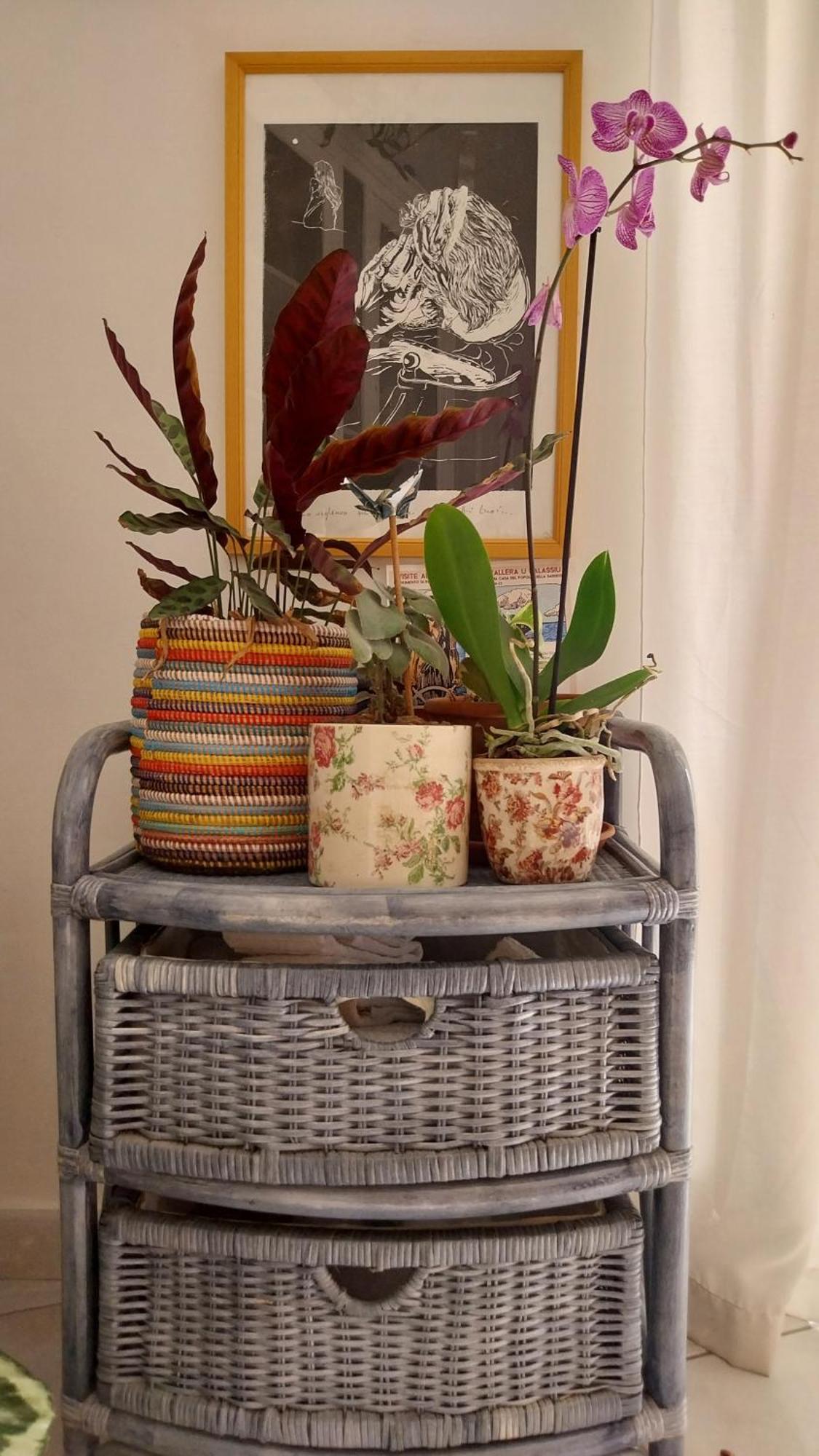 Carilla B&B Carloforte  Dış mekan fotoğraf